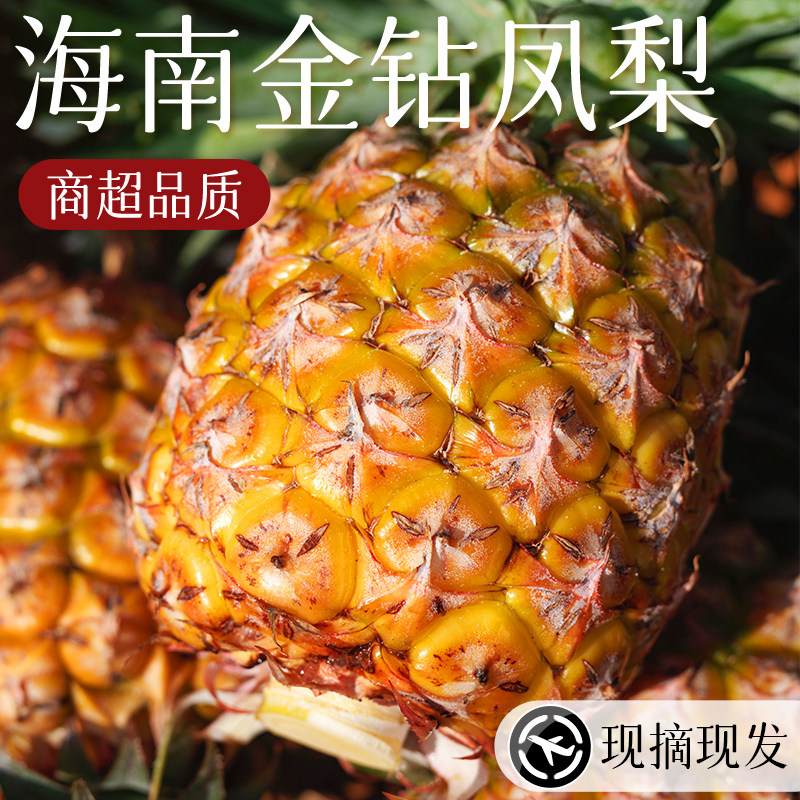 海南金钻凤梨果肉金黄清甜无渣图片