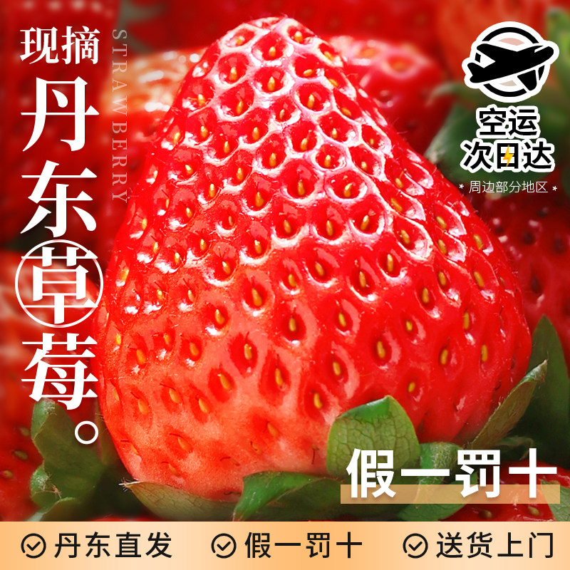 【空运当天发】现摘丹东草莓!