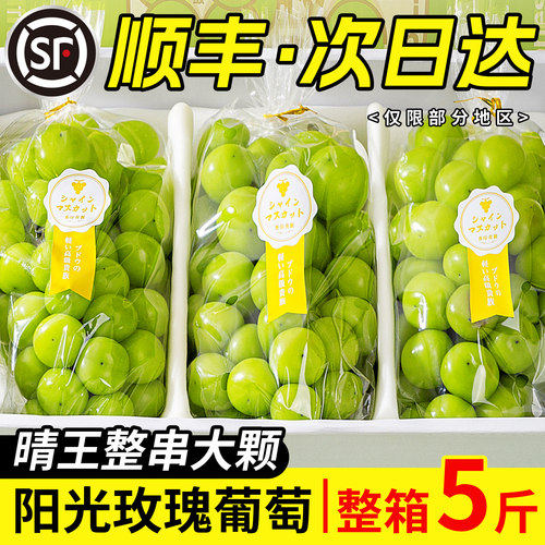 阳光玫瑰5斤！大颗粒！更过瘾！