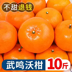 广西武鸣沃柑10斤新鲜水果当季整箱皇帝沙糖蜜橘砂糖柑橘桔子橘子