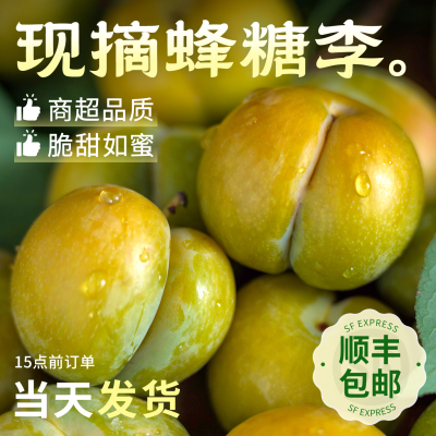 正宗新鲜现摘蜂糖李|顺丰发货