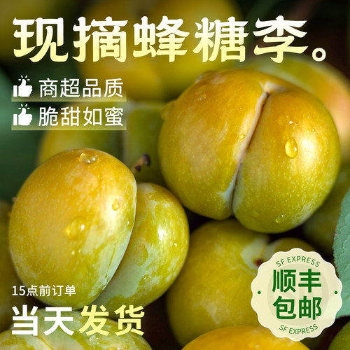 正宗新鲜现摘蜂糖李|顺丰发货