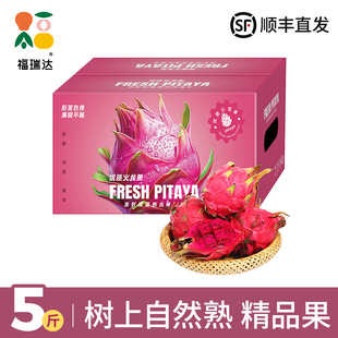 越南红心火龙果新鲜水果当季整箱金都一号红肉甜蜜燕窝麒麟果礼盒