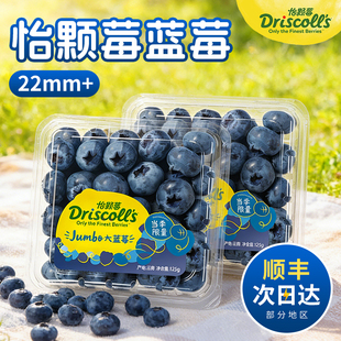 正宗怡颗莓蓝莓新鲜水果当季蓝梅现摘高山孕妇大果整箱顺丰包邮