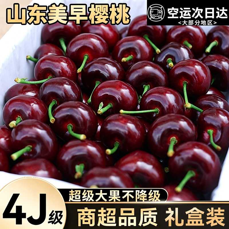 山东美早樱桃4J顺丰包邮