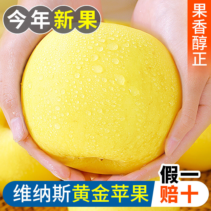 维纳斯黄金苹果5尊贵非奶油红富士水果新鲜整箱斤当季正宗黄胖子,水产肉类/新鲜蔬果/熟食,苹果,淘宝优惠券,粉丝福利购,淘宝优惠卷
