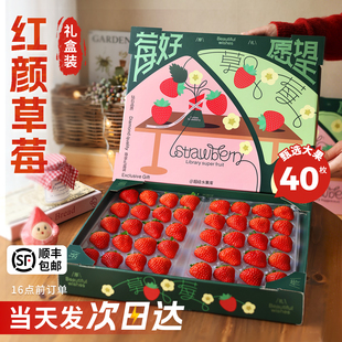 红颜奶油草莓礼盒装新鲜水果5斤应当季99九九牛奶大整箱3顺丰包邮