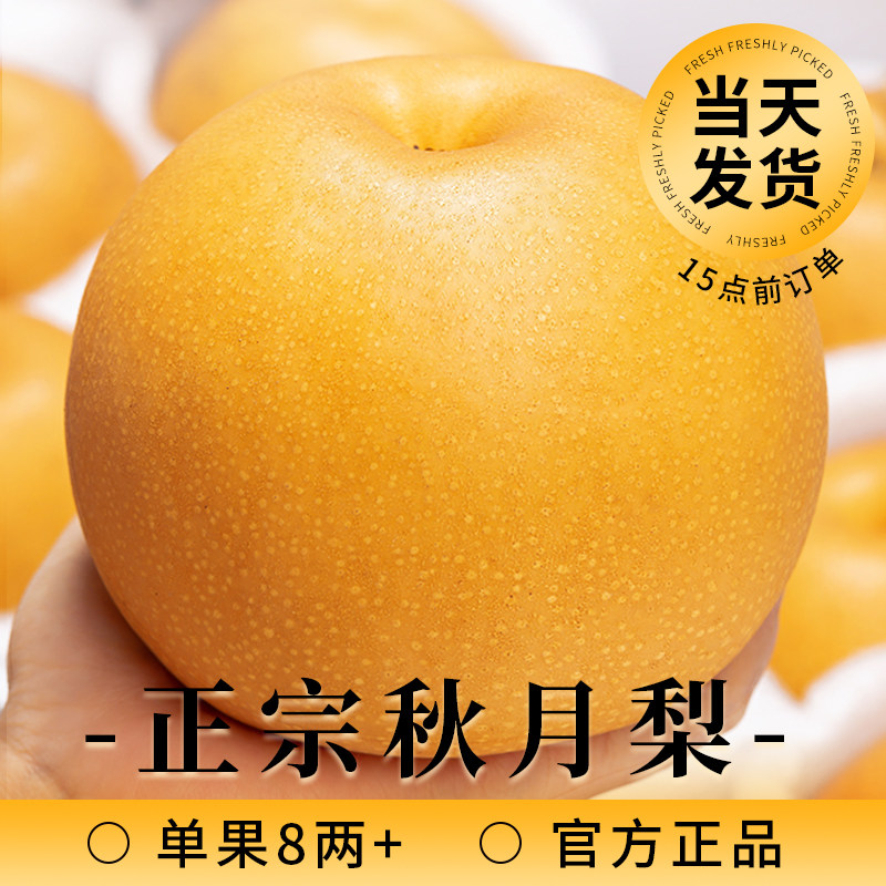 正宗秋月梨新鲜水果10官方正品应季当季新鲜整箱包邮斤梨子限定