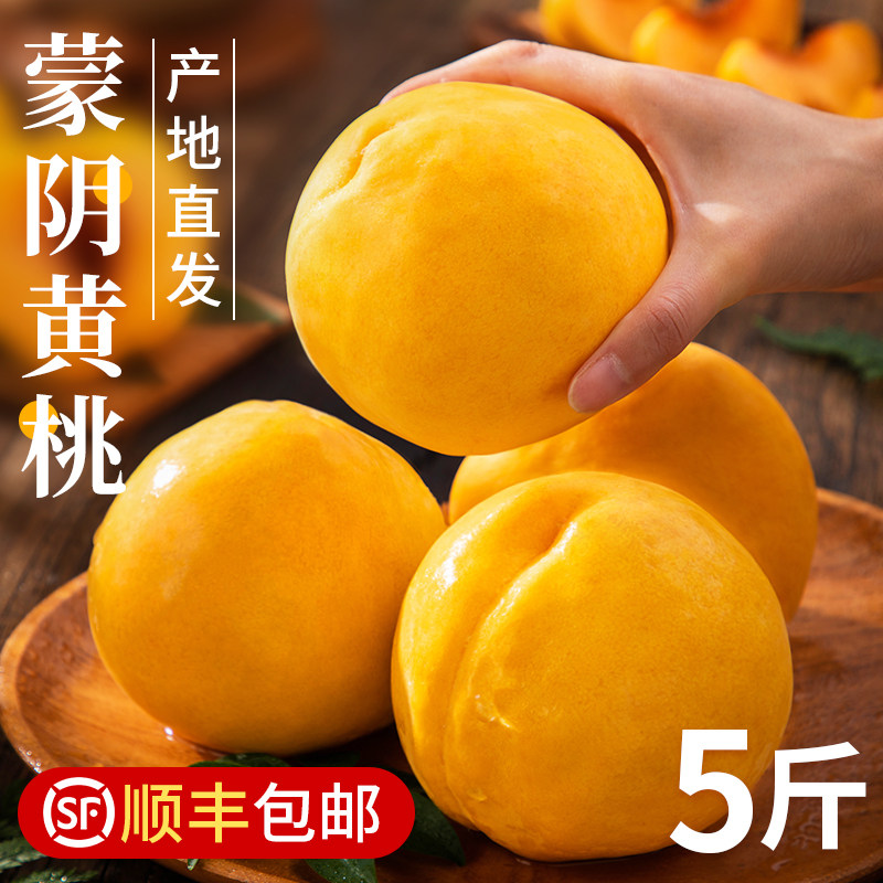蒙阴黄桃新鲜当季水果现摘桃子整箱毛桃子脆甜黄金蜜桃顺丰包邮10