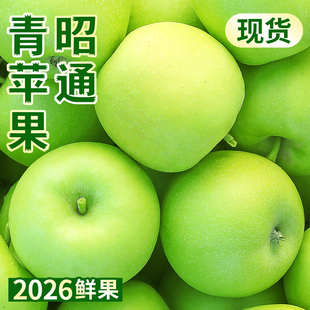 云南昭通青苹果正宗红酸脆富士新鲜水果应季当季整箱10斤大绍通