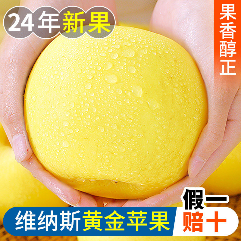 维纳斯黄金苹果5尊贵非奶油红富士水果新鲜整箱斤当季正宗黄胖子
