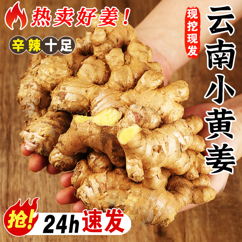 云南小黄姜新鲜现挖现发生姜蔬菜24h产地速发辛辣十足调味整箱装