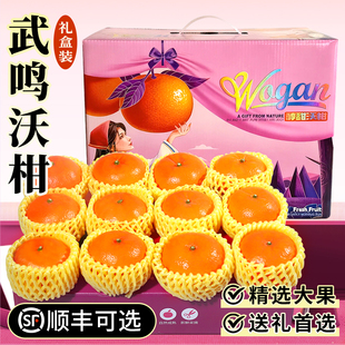 广西武鸣沃柑年货礼盒装桔子顺丰春节新年送礼品亲戚砂糖新鲜水果