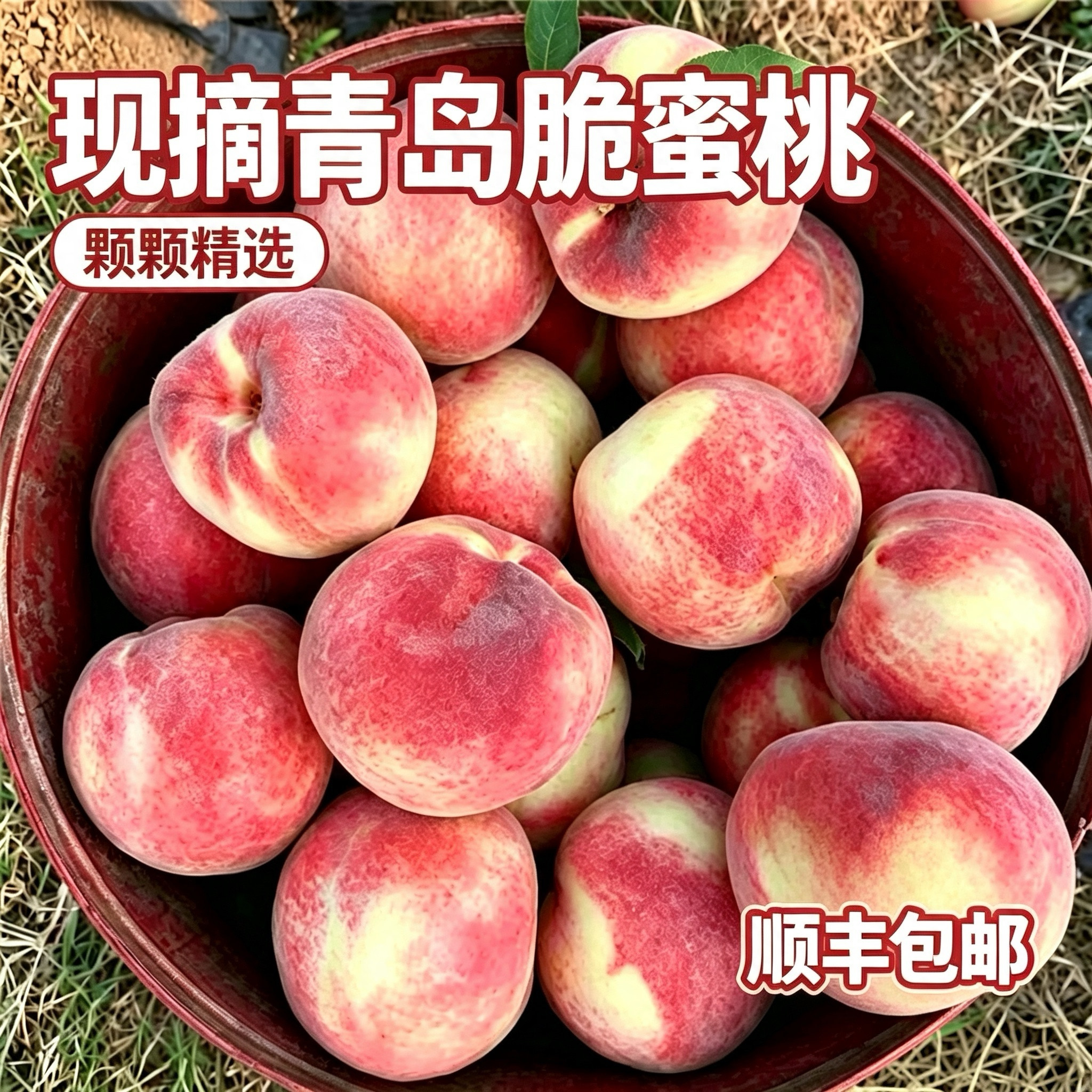 现摘青岛崂山金秋红蜜脆桃秋冬当季水果红心硬桃山东毛桃脆甜桃子