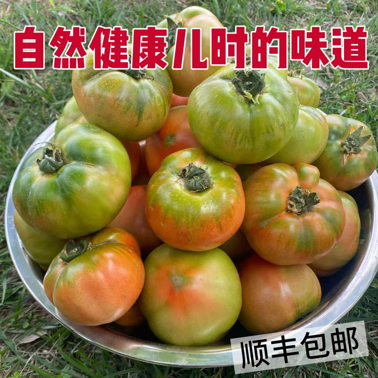 现摘青岛老品种生吃杠六九西红柿小番茄草莓柿子非普罗旺斯铁皮柿