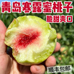 现摘青岛寒露蜜桃子脆甜山东秋冬离核红心硬桃脆桃当季新鲜水果