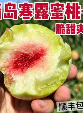顺丰现摘青岛寒露蜜桃子脆甜硬桃
