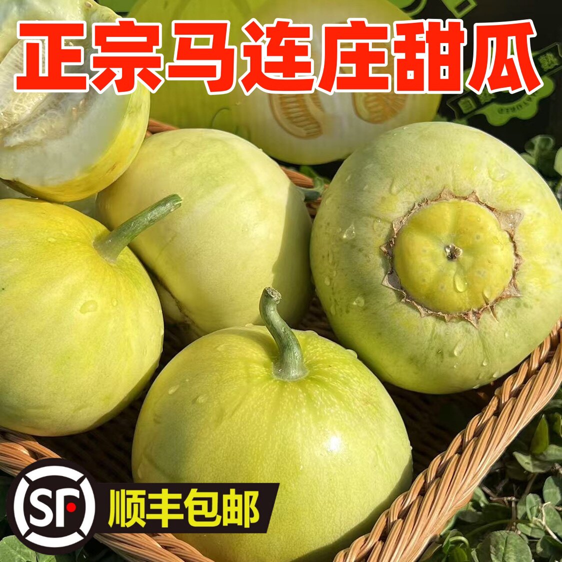 正宗青岛马连庄甜瓜现摘日本甜宝当季新鲜水果绿宝小香瓜顺丰包邮