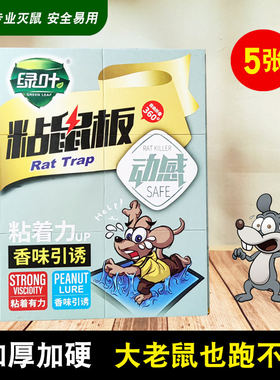 绿叶加厚粘鼠板捉抓粘大老鼠贴