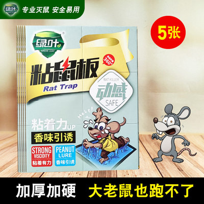 绿叶加厚粘鼠板捉抓粘大老鼠贴