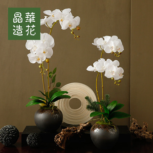 晶华仿真蝴蝶兰花艺套装 饰 假兰花盆栽客厅餐桌桌面摆件仿真花艺装