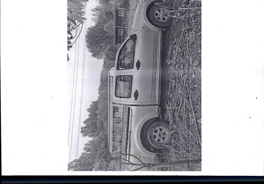 1月3日保定长城牌轻型货车一辆网络拍卖公告