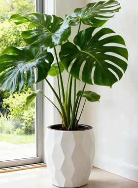 龟背竹花盆陶瓷大号白色轻奢高级感家用客厅创意特大号高脚摆件