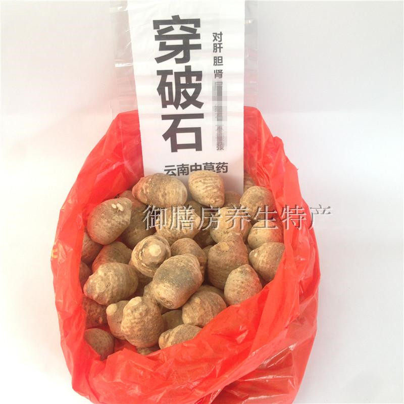 穿破石 雲南苗家特產中草藥化消石散適肝膽腎膀胱中药材