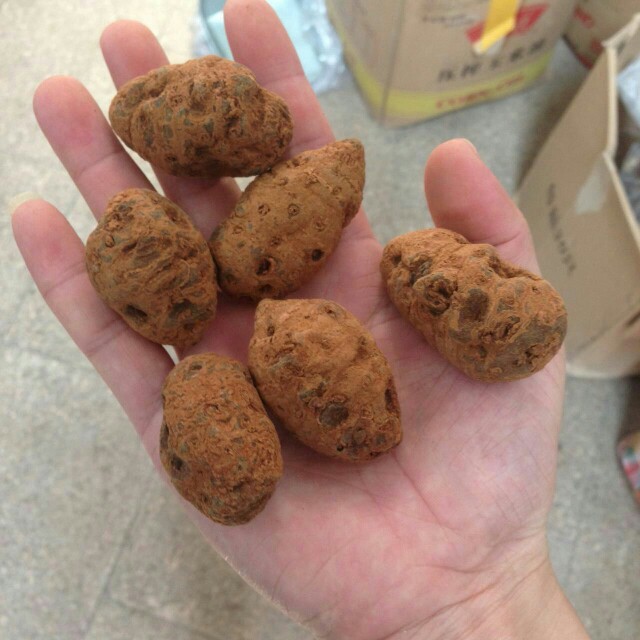 云南野生血三七根100克中药材中草药
