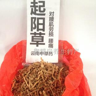 起阳草 雲南苗家特產中草藥腰酸腰疼 中药材泡酒料药酒料