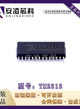 原装正品TM2313 封装SOP-28 音频接口芯片 IC芯片 全新现货