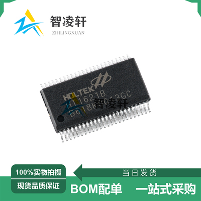 全新原装 HT1621B HK1621B TM1621B SSOP-48 LCD驱动芯片 现货