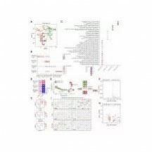 生信代码 R语言 Python代码出售 单细胞 转录组 应有尽有