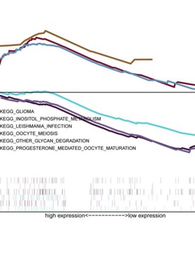 ?微生物LEfSe分析差异物种进化分支生信绘图?