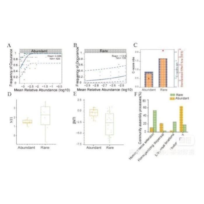 医亿计算 代做靶点预测药物开发分子DNA蛋白质RNA对接生信分析