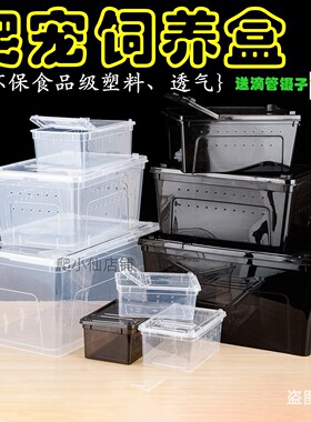 蜘蛛角蛙守宫盒蜥蜴蝎子爱尚爬