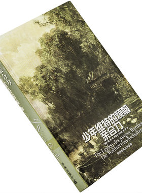 少年维特烦恼亲合力歌德译林世界