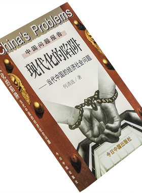 中国问题报告现代陷阱经济社会