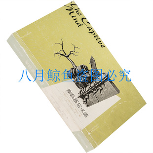 被禁锢的头脑 米沃什作品系列 诗歌书籍 2013广西师大版 老版