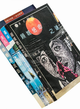 英儿+墓床+魂断激流岛+顾城绝命之谜 全4册 顾城自传 老版珍藏
