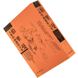 伯里曼人体绘画教程全集人体构造着装形体绘画·头部五官和面部绘画实用人体解剖人体绘画技法百手图册全五册 正版书籍包邮