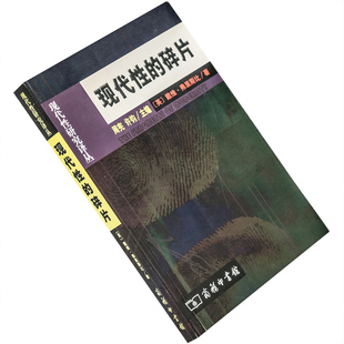 现代性的碎片 齐美尔克拉考尔和本雅明作品中的现代性理论 戴维弗里斯比 现代性研究译丛 商务印书馆 正版书籍老版