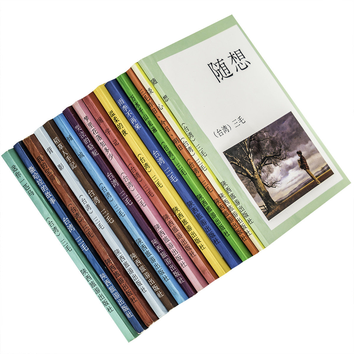 三毛作品集全15册 稻草人手记背影哭泣的骆驼梦里花落知多少闹学记撒哈拉的故事倾城雨季不再来温柔的夜谈心随想我的宝贝 老版