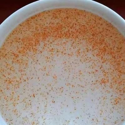 水蚤活体水蚤活苗鱼虫鱼食鱼苗开口料水蚤干水蚤冰冻红虫活饵繁殖