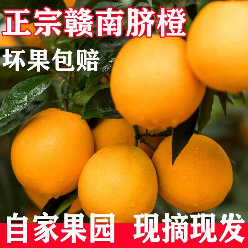迷你小果产地直发10斤装正宗江西赣南脐橙当季孕妇包邮新鲜现摘橙