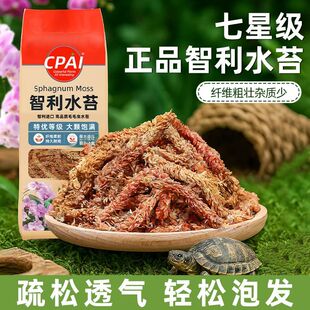 进口智利基质长条水苔毛毛虫营养土介质苔藓蝴蝶兰植物专用兰花