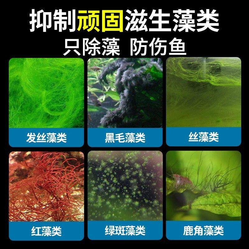 疯狂水草鱼缸除藻剂绿藻去苔剂青苔鱼缸清理神器绿水褐藻丝黑毛藻