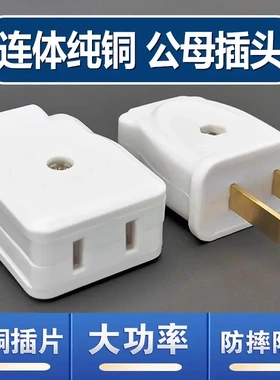 纯铜大功率二孔公母插头对接监控安防电源头电动车充电两孔母插座