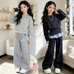 女童春秋卫衣套装2026新款儿童春季洋气上衣女孩休闲阔腿裤两件套