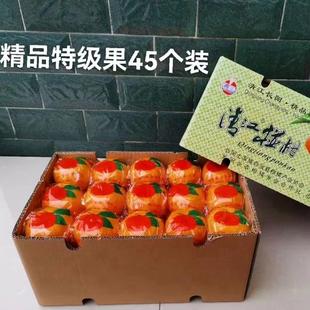 应季水果湖北桔子长阳清江岩松坪椪柑，特级45个装，14-15斤